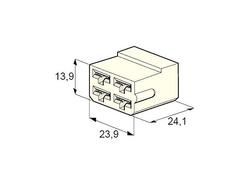 Liitinrasia, 4-os.naaras