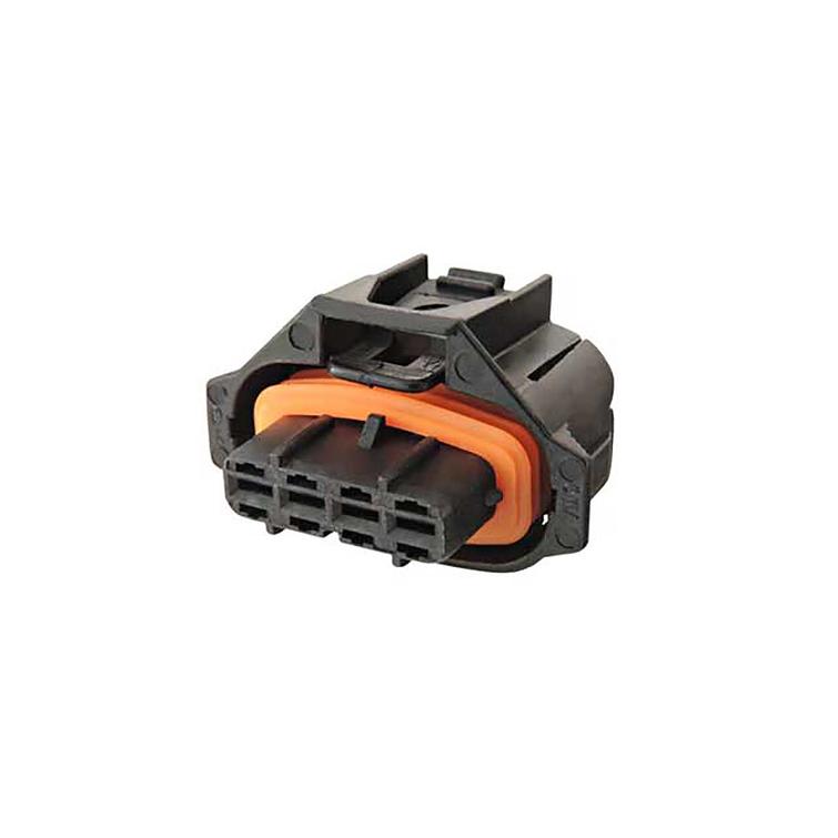 Liitinrasia 4-nap, naaras