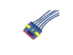 Liitinrasiasarja, 5-os.naaras