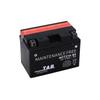 TAB AGM YTZ14-BS 11.2Ah