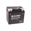 Globe GEL 53030 30Ah 280A