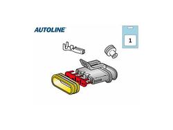 Liitinrasiasarja, 4-os.naaras