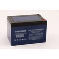 Power Plus AGM 12V 12Ah Deep Cycle