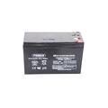 Power Plus Agm 12V 7Ah F2