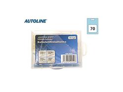 Kutisteliitinlajiltema 70-os.