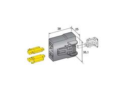 Liitinrasia, 3-os. Naaras