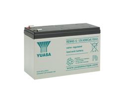 Yuasa REW 45W/10min