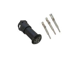 Kytkent&auml;rasia, 3-nap.naaras