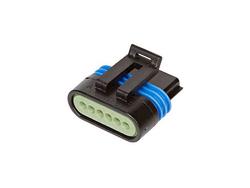 Liitinrasia, 6-nap. hylsyrunko