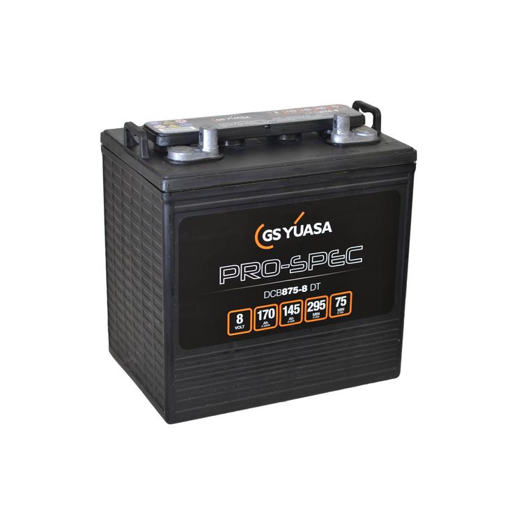 Pro-Spec DCB875-8DT 8V 170AH/20HR