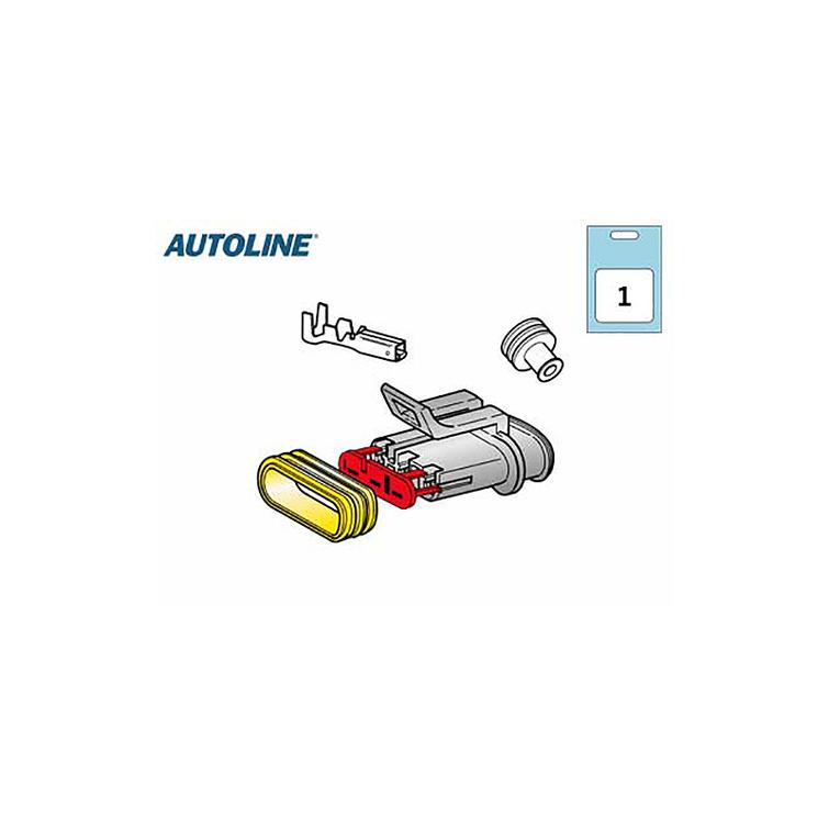 Liitinrasiasarja, 3-os.naaras