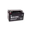 Globe GEL GTX7A-4 6Ah 110A 