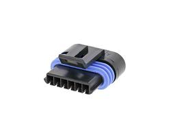 Liitinrasia, 6-nap. hylsyrunko