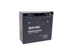 Globe GEL 12V 21Ah 310A