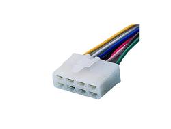 Liitinrasia, 8-os.naaras