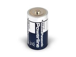 Panasonic Powerline Industrial LR20 / D